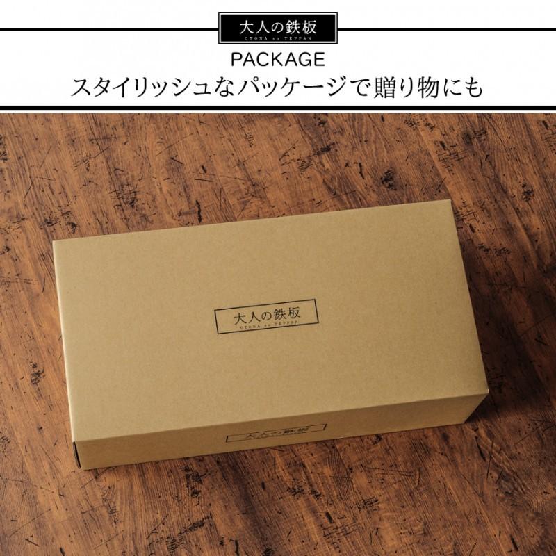 燕三条 フライパン 鉄 鉄板 蓋付き プレート 鉄板焼き 鉄板ステーキ