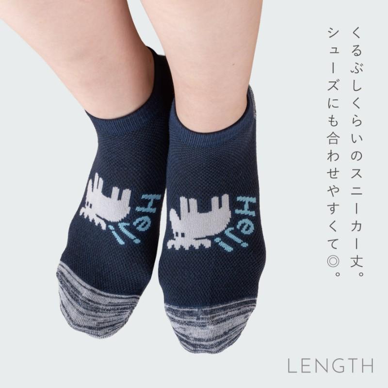 moz 靴下 レディース 3柄組 23-25cm 春夏 くるぶし スニーカー