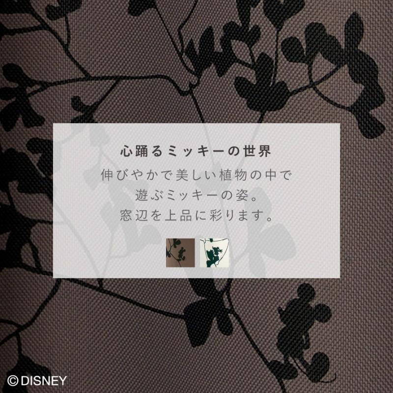 スミノエ カーテン ディズニー 遮光 1級 2級 100×135cm ミッキー