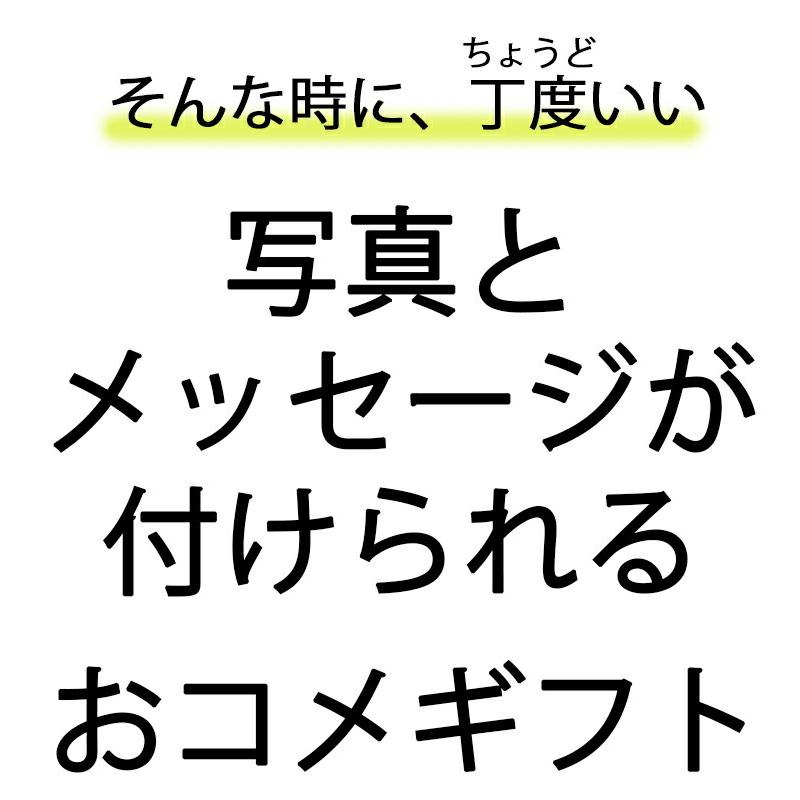 米 ギフト プチギフト 絆gohan 450g フォト メッセージ付 写真入れ 結婚挨拶 入籍挨拶 結婚 挨拶 御礼 お返し 内祝 プ 内祝い 0172 013 450t K E Zakkoku米 通販 Yahoo ショッピング