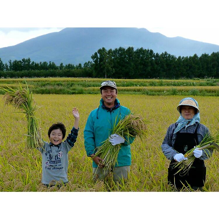 米 20kg 5年産  青森県産 特別栽培米 青天の霹靂 青森県産 白米20kg （5kg×4）特栽 お米 【米20キロ】｜e-zakkokumai-y｜12