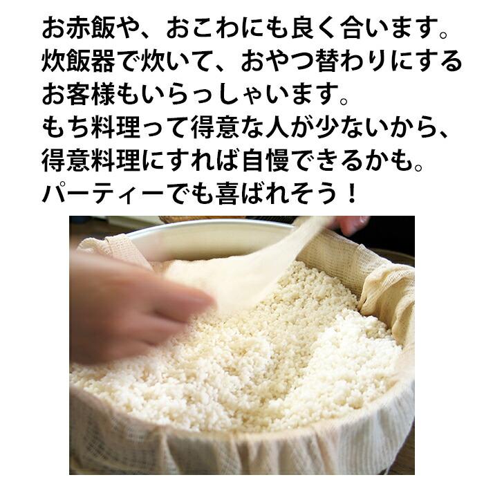 米 10kg 産直もち米 白米10kg(5kg×2)小分け モチ米 糯米 餅 10 米 10kg 産直もち米 白米10kg(5kg×2)小分け モチ米 糯米 餅 10