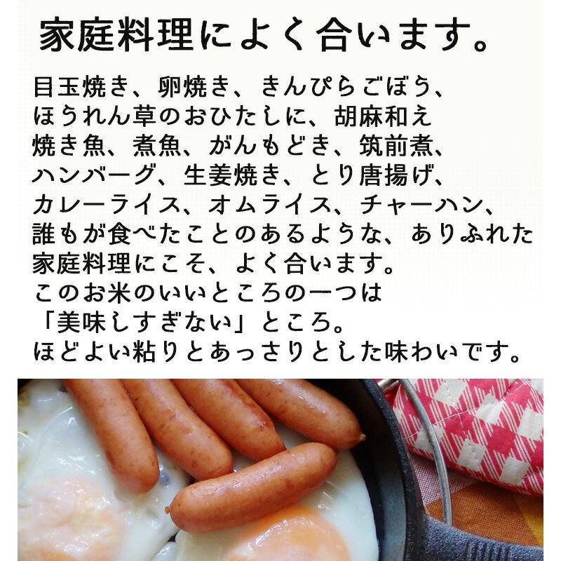 米 精米 5年産 秋田県産 ときわGreen 白米27kg（5kg×5、2kg） 小分け/人気/安い【米27kg】｜e-zakkokumai-y｜09