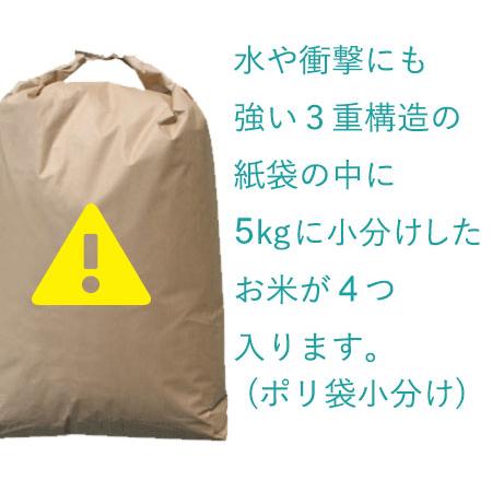青森の新ブランド米 産地直送 特A 米 20kg 青森県産 6年産 はれ 青森の新ブランド米 産地直送 特A 米 20kg 青森県産 6年産 はれ