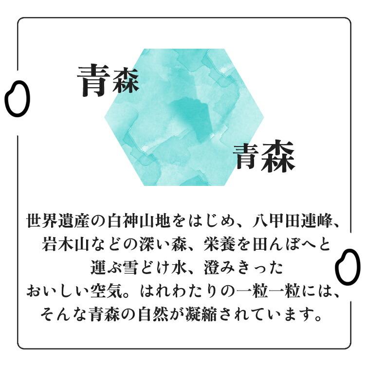 新米 青森の新ブランド米 産地直送 特A 米 20kg 青森県産 6年産 はれ  