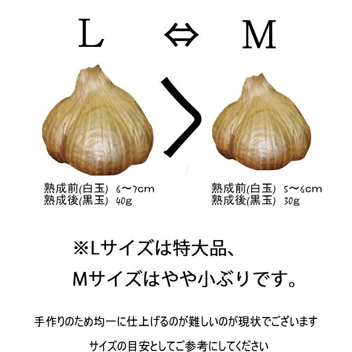 黒ニンニク 青森県産 発酵にんにく 【黒にんにく Ｍサイズ12株×３箱セット】国産 送料無料 熟成ニンニク 無添加｜e-zakkokumai-y｜18