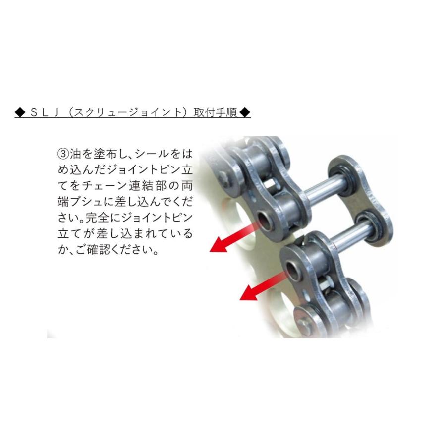 SALE/77%OFF】 EK イーケー 強化ノンシールチェーン 420SR ゴールド 110L クリップジョイント Pisco社製 レギュレータ AR2000 中古