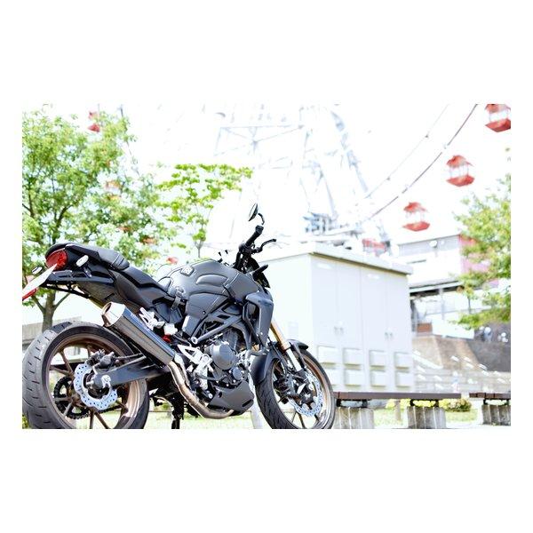 BAGSTER（バグスター） タンクカバー マットグレー CB300/250R 18-23