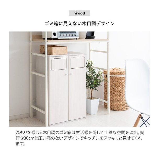 宮武製作所 ミヤタケセイサクジョ 木製ダブルプッシュダストボックス Empro エンプロー ゴミ箱/45L/ブラウン DB-802R/ブラウン(2642197)の画像