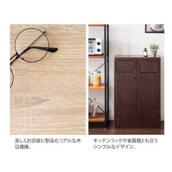 宮武製作所 ミヤタケセイサクジョ 木製ダブルプッシュダストボックス Empro エンプロー ゴミ箱/45L/ブラウン DB-802R/ブラウン(2642197)の画像