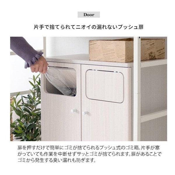 宮武製作所 ミヤタケセイサクジョ 木製ダブルプッシュダストボックス Empro エンプロー ゴミ箱/45L/ブラウン DB-802R/ブラウン(2642197)の画像