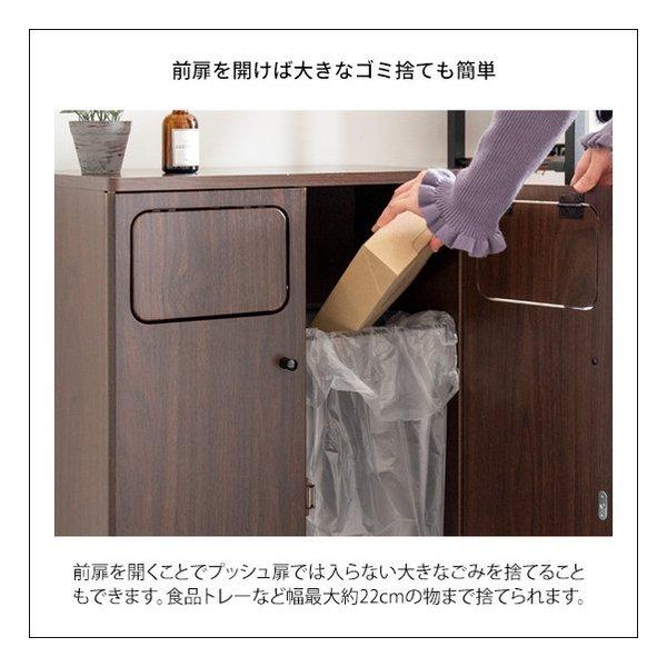 宮武製作所 ミヤタケセイサクジョ 木製ダブルプッシュダストボックス Empro エンプロー ゴミ箱/45L/ブラウン DB-802R/ブラウン(2642197)の画像