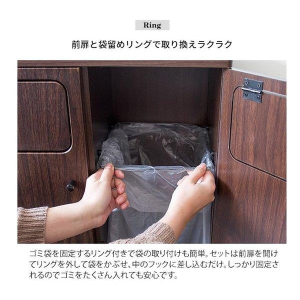 宮武製作所 ミヤタケセイサクジョ 木製ダブルプッシュダストボックス Empro エンプロー ゴミ箱/45L/ブラウン DB-802R/ブラウン(2642197)の画像