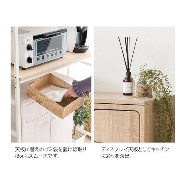 宮武製作所 ミヤタケセイサクジョ 木製ダブルプッシュダストボックス Empro エンプロー ゴミ箱/45L/ブラウン DB-802R/ブラウン(2642197)の画像