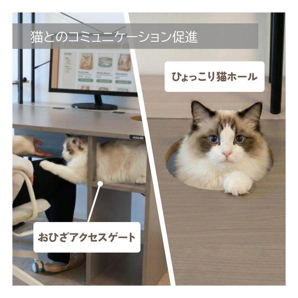 BIBILAB ビビラボ ビビにゃお 猫家具 猫ハウスデスク LCD-1000-GY(2676158)_4