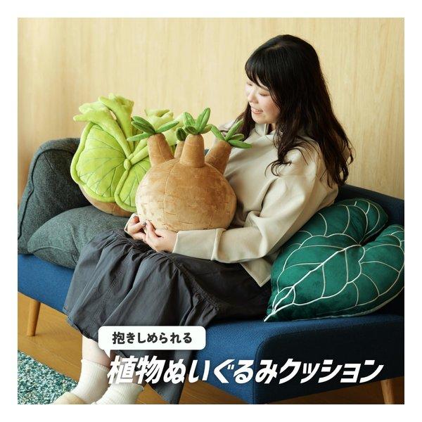 BIBIPLANTS ビビプランツ 植物ぬいぐるみクッション ビカクシダ LPG