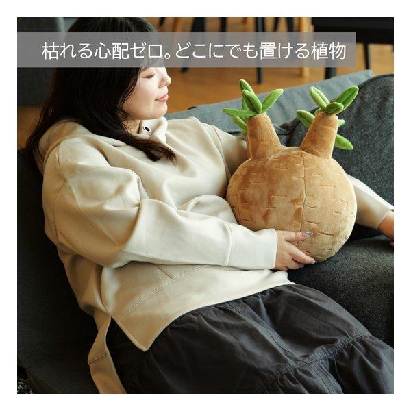 【希少】旧Jagabee　被り物　ぬいぐるみ　クッション　大きい BIBIPLANTS ビビプランツ 植物ぬいぐるみクッション ビカクシダ LPG