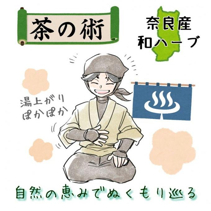 お風呂のハーブ しょうがのお風呂 3包入 奈良県産無農薬栽培しょうが100% 茶の術｜e081｜05