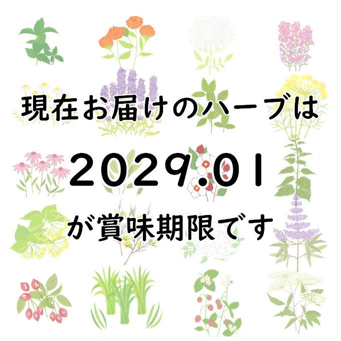 エキナセア20g ハーブティー お茶 シングルハーブ ドライハーブ（USDAオーガニック・QAI認定オーガニック原料使用） |  | 04