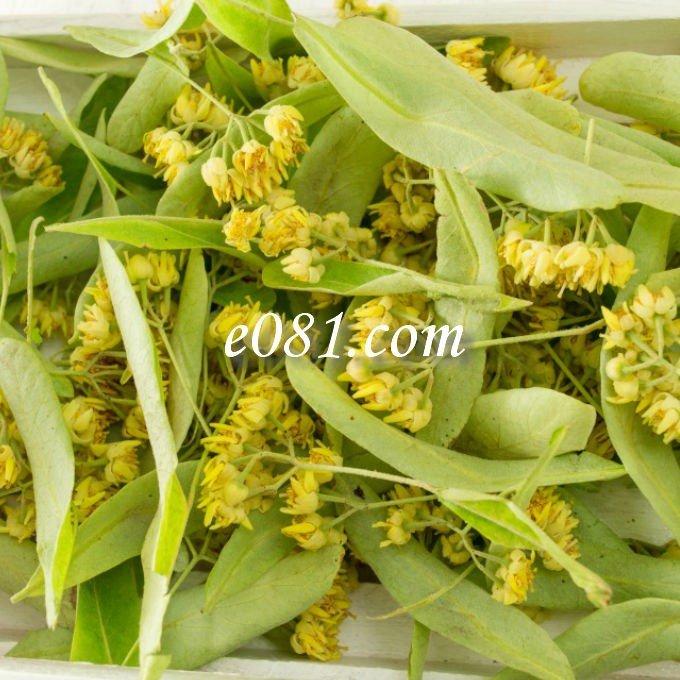 リンデン15g 西洋菩提樹 ボダイジュ ハーブティー お茶 シングルハーブ