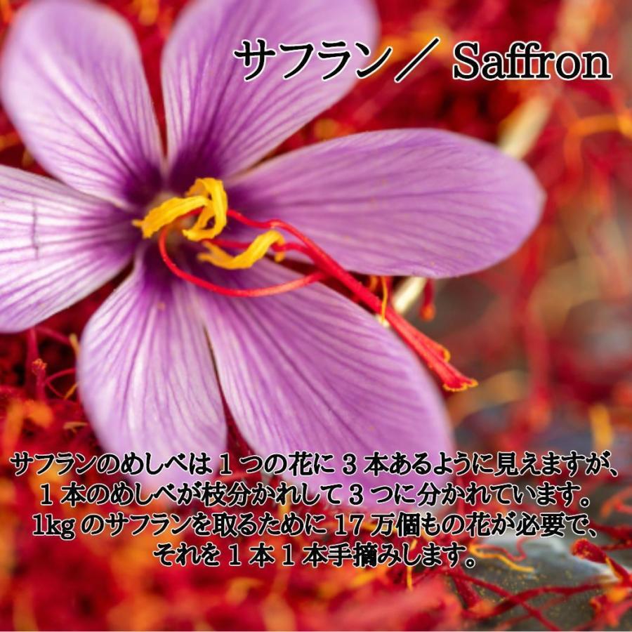 スペイン産サフラン（番紅花）0.5g スペイン ラマンチャ産の香り高い  