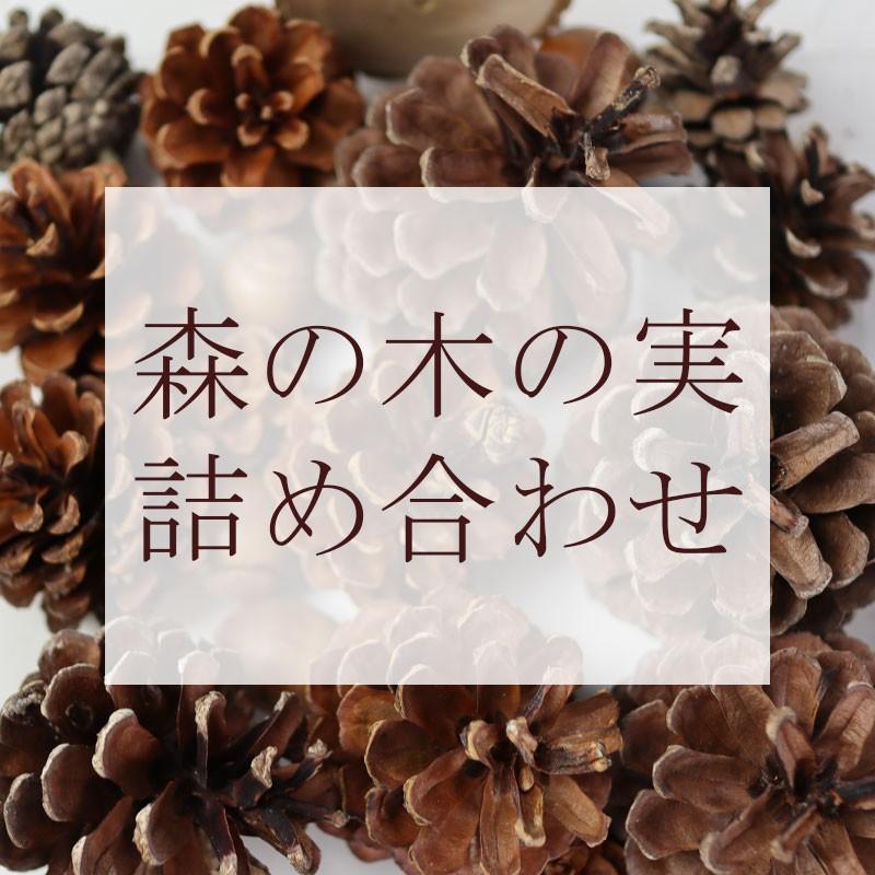 花材 森の木の実詰め合わせ 楽しくて癒される リース スワッグ ハーバリウム 飾り サシェ材料 オーナメント 飾りつけ 手芸用品 自然素材 まつぼっくり E1093 E特産ネット 通販 Yahoo ショッピング