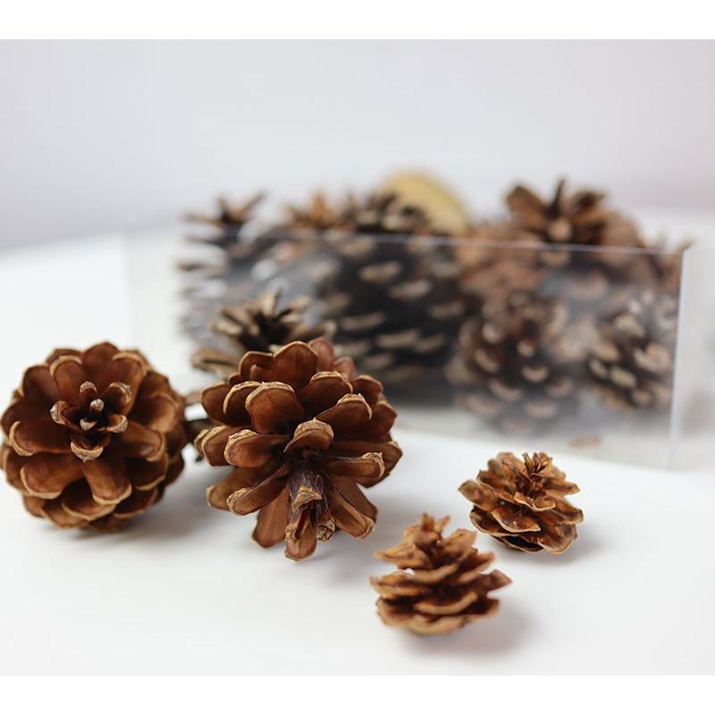 花材】森の木の実詰め合わせ 楽しくて癒される リース スワッグ ハー