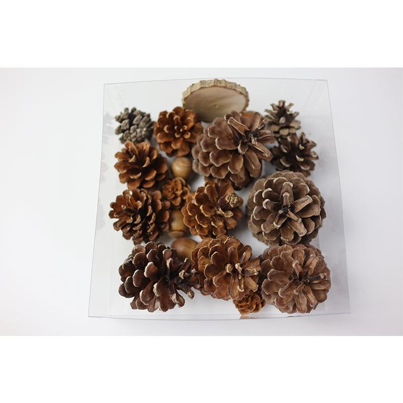 花材】森の木の実詰め合わせ 楽しくて癒される リース スワッグ ハー