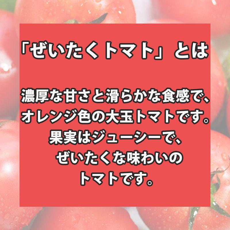 【ぜいたくトマトのトマトジュース】長野県産果汁100%/無塩・無添加・無調整/ストレートジュース/濃厚で旨味のあるぜいたくトマト/720ml2本箱入 |  | 02