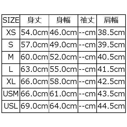 D-22-NATIVE VEST-D22-DELUXEWARE-デラックスウエアベスト-アウターの画像