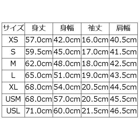SDTS-2602 NATIVE MAZE SDTS2602 DELUXEWARE デラックスウエアTシャツ | DELUXEWARE | 15