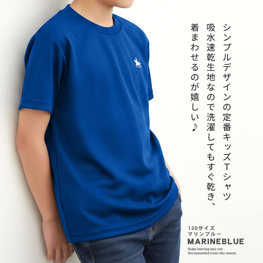 Tシャツ 伊達政宗 半袖 キッズ 男の子 女の子 ドライ 吸水速乾 UV