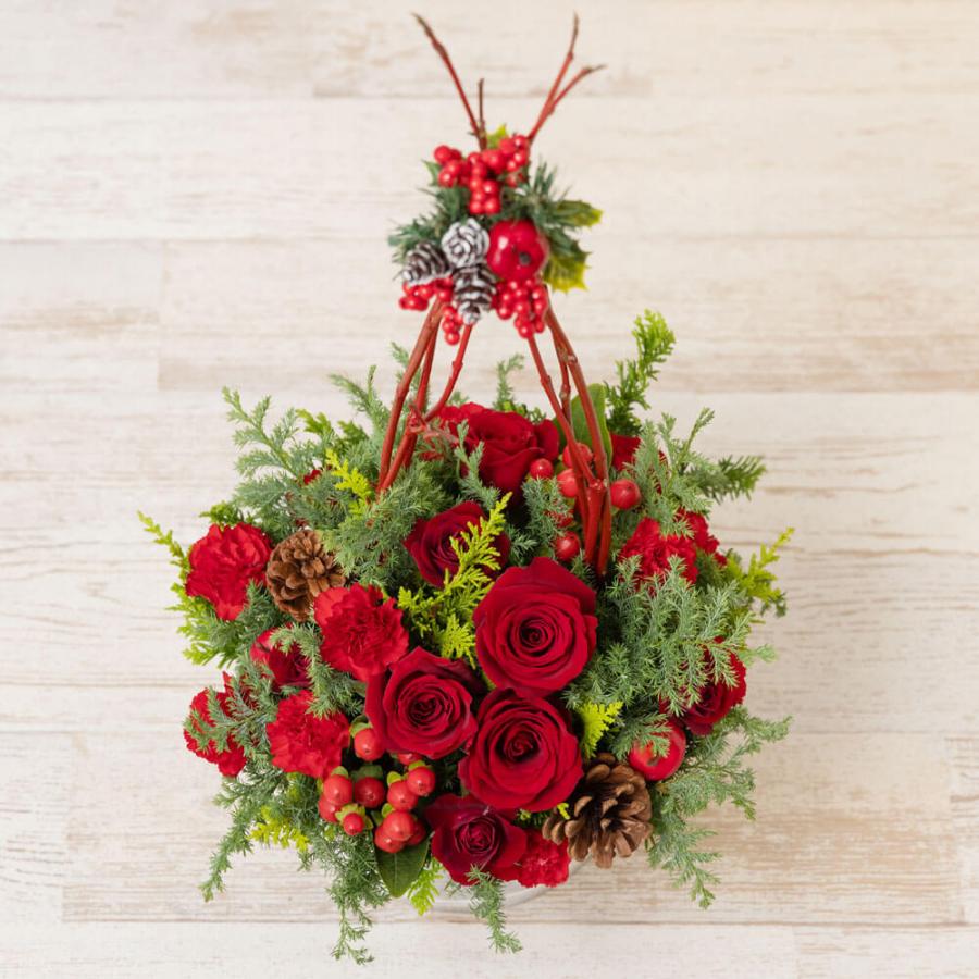 格安好評 クリスマス 花 ギフト アレンジメント Special Winter バラ カーネーション フラワーギフト 誕生日 お祝い イイハナ ドットコム 通販 Paypayモール 大特価好評 Hestheimar Is