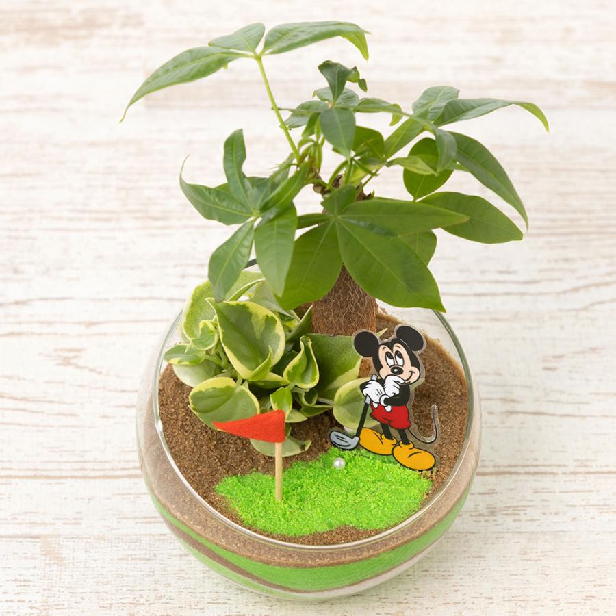 ディズニー 父の日 観葉植物  プレゼント ギフト 「ナイスショット！（ミッキーマウス）」 ゴルフ 寄せ植え 手のひらサイズ かわいい フラワー ギフト 鉢｜e87ys｜02