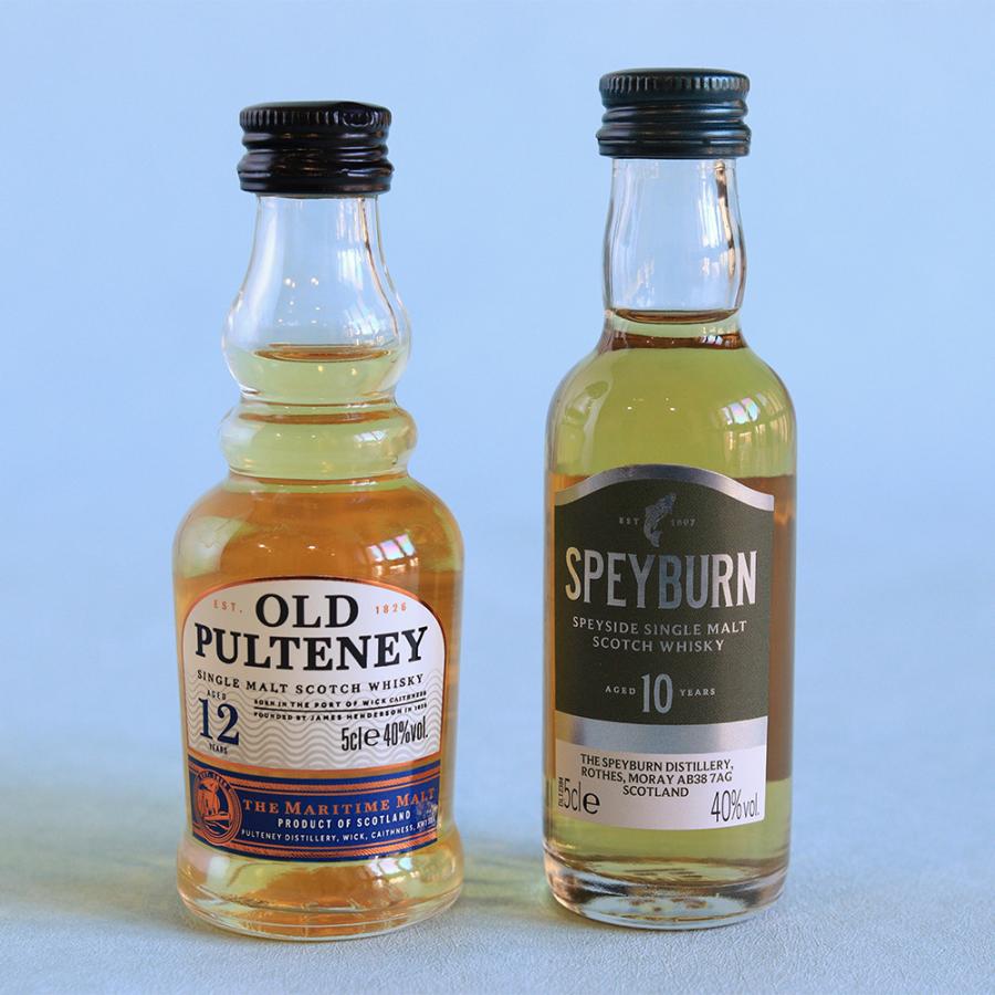 父の日　アレンジセット「ウイスキーミニチュアボトル飲み比べセット」 花鉢 2026 花 宅配 プレゼント ギフト 父 50代 60代 70代_4