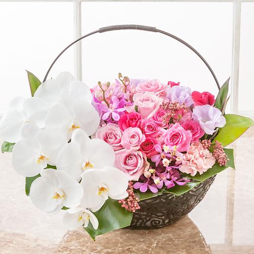 楽天市場 アレンジメント 花 ギフト ファレノプシス バスケット Pink プレゼント 胡蝶蘭 バラ カーネーション 新版 Www Pandas Com Br