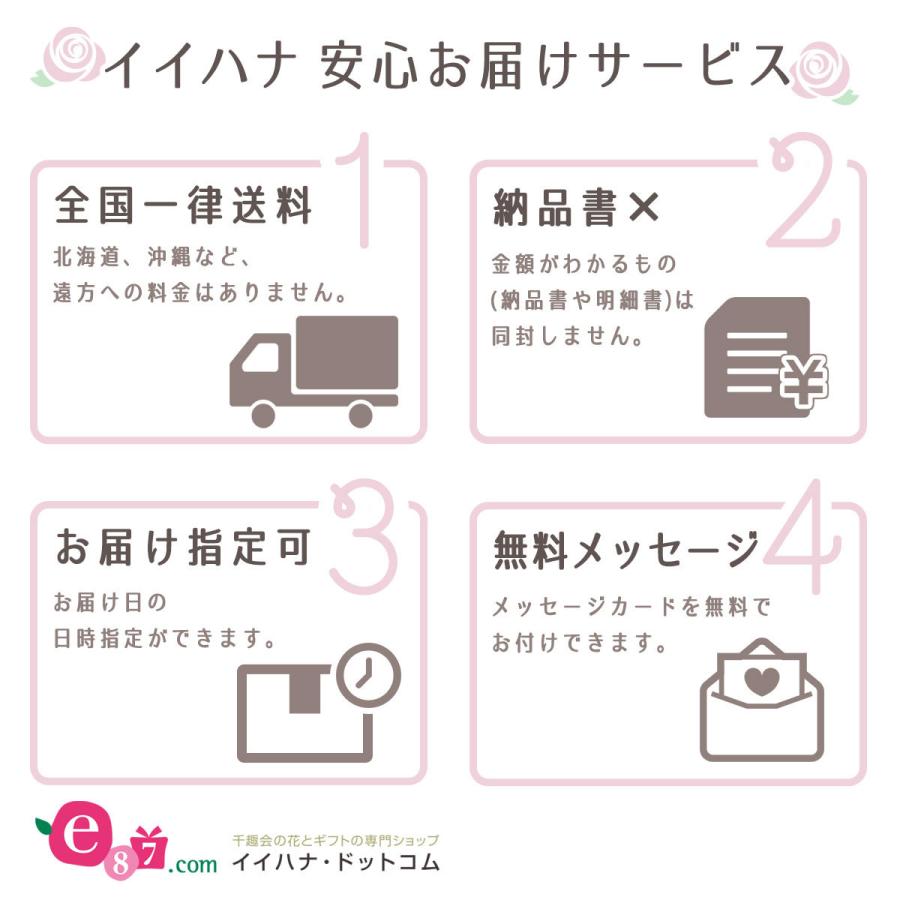 新作通販 観葉植物 フィカス ベンガレンシス 7号 おしゃれ 引っ越し祝い 友達 プレゼント ギフト インテリア15 001円 Aynaelda Com