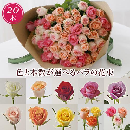バラ 花束 20本 モダンローズ 選べる10カラー レッド オレンジ ピンク