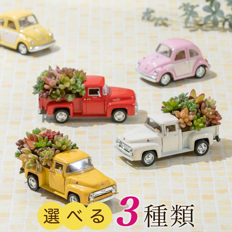 多肉植物 選べる3色「ビンテージトラック」 おしゃれ インテリア 引っ越し祝い プレゼント 観葉植物 車｜e87ys