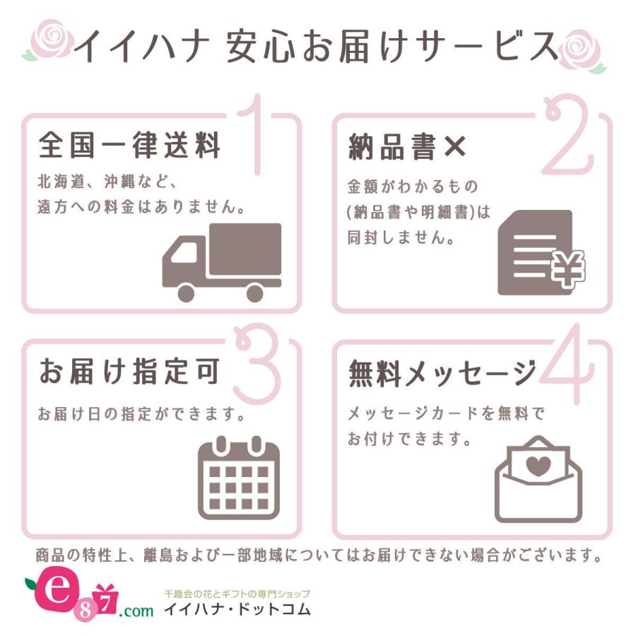 胡蝶蘭 花ギフト メッセージ イイハナ ドットコム 通販 Paypayモール 鉢植え ミディー胡蝶蘭3本立ち ミックス 生花 お祝い 開店 祝い 開業祝い 引っ越し祝い 大人気国産 Harrysstores Com