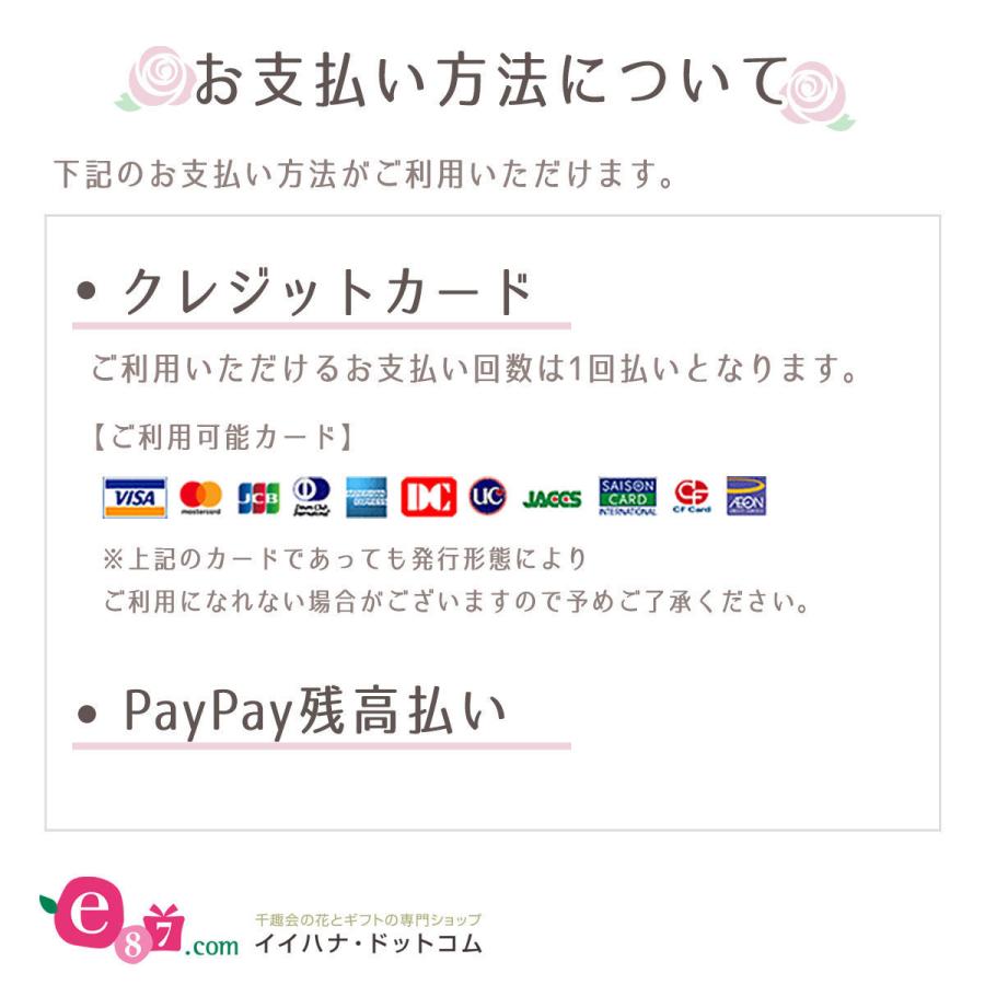 胡蝶蘭 鉢植え ミディー胡蝶蘭5本立ち 赤リップ 生花 開店記念セール お祝い メッセージ 引っ越し祝い 開店祝い 開業祝い 花ギフト