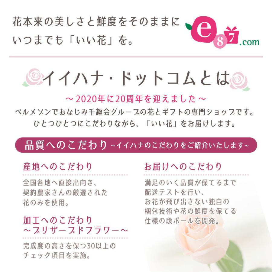 トラブルに 胡蝶蘭 供花 花ギフト メッセージ イイハナ ドットコム 通販 Paypayモール 鉢植え ミディー胡蝶蘭2本立ち 白 赤リップ 黄色 生花 お祝い 開店祝い 開業祝い 引っ越し祝い お悔やみ すので