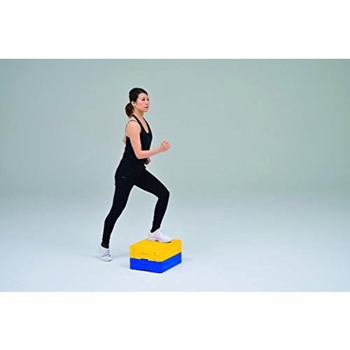 TOEI LIGHT(トーエイライト) ジョイントステップブロック H7351 