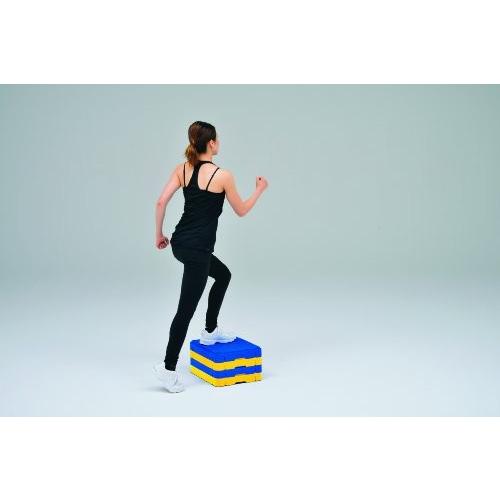 TOEI LIGHT(トーエイライト) ジョイントステップブロック H7351 