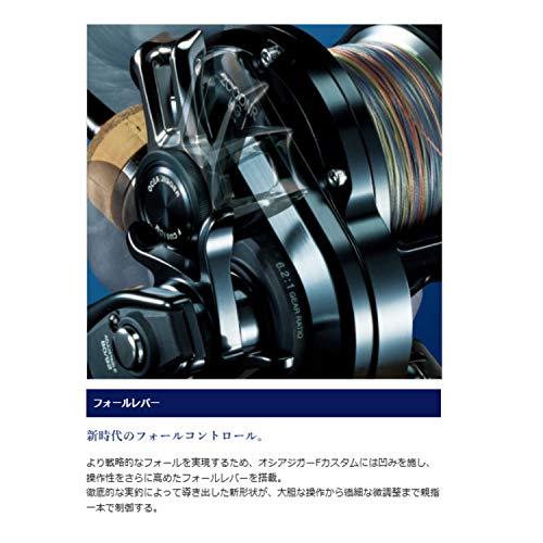 値段が激安 シマノ(SHIMANO) リール オシアジガー Fカスタム 3000HG