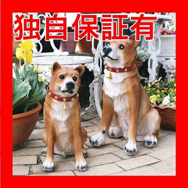 偉大な レビューで次回00円オフ 直送 お出迎えワンワン リキ 代引不可 生活用品 インテリア 雑貨 花 ガーデニング その他のガーデニング用品 Top1 Ds イーグルアイヤフー店 通販 Yahoo ショッピング 最適な価格 Www Iccostierovico Edu It