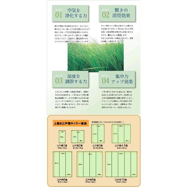 カーペット 江戸間 3畳 い草 純国産 双目織 上敷 松 176×261｜eagleshop｜03