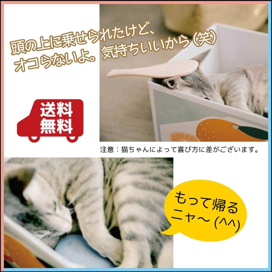 猫用ブラシ 猫舌ブラシ マッサージ グルーミング 猫の舌 待望 ギザギザ