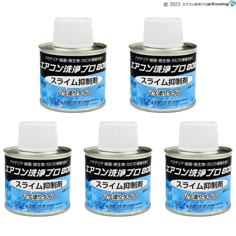 スライム 抑制剤 ハケ塗タイプ 100g 5個入り エアコン洗浄プロ808 バクテリア 細菌 微生物 カビの増殖を防ぐ ドレンパン約5台分 KS-100A_1