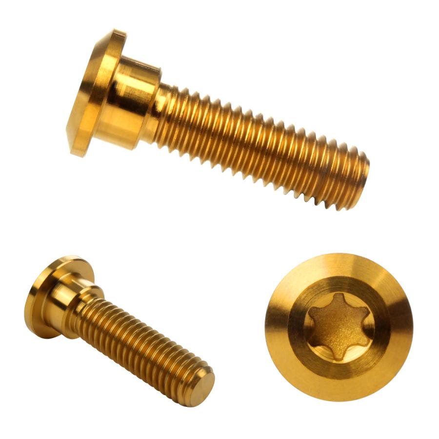 チタンボルト M8×30mm P=1.25 ブレーキディスク ローター ボルト カワサキ車用 ゴールド JA034 | カワサキ | 02